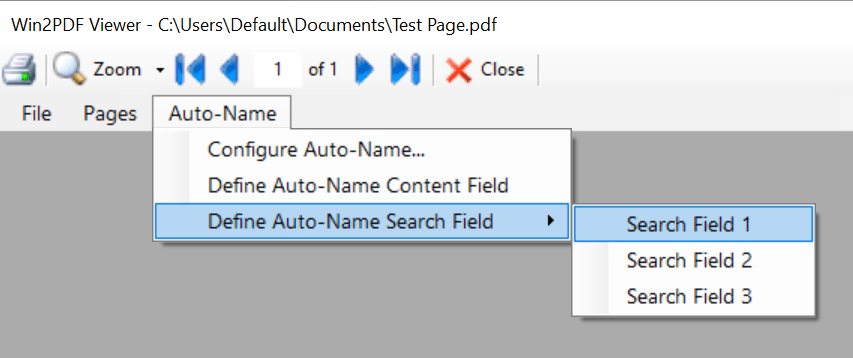 Define Auto Name Search Field